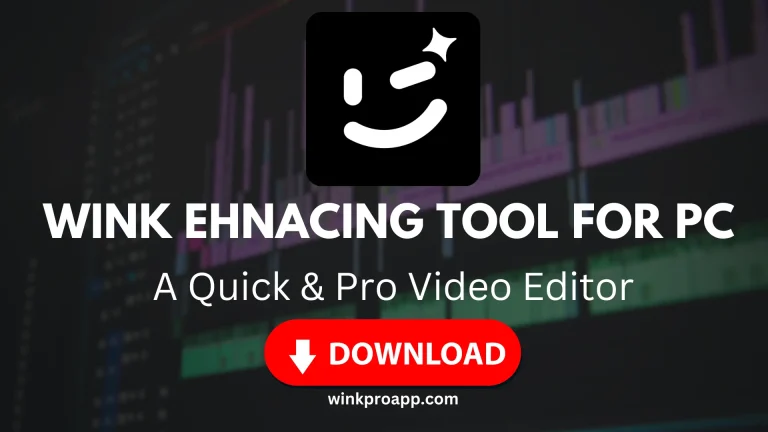 Wink Video Retouching Tool For PC