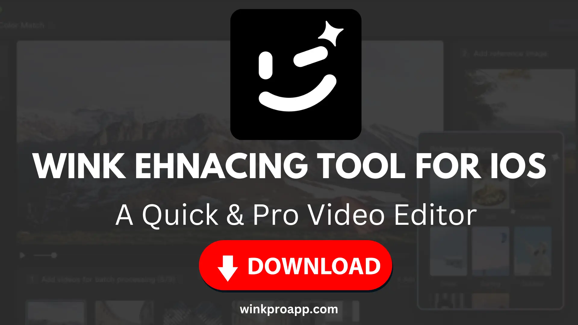 wink video retouching tool