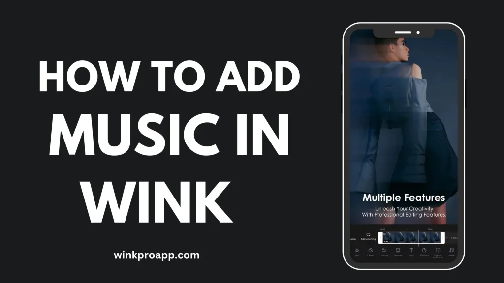 How to Add Music in Wink Video Retouching Tool